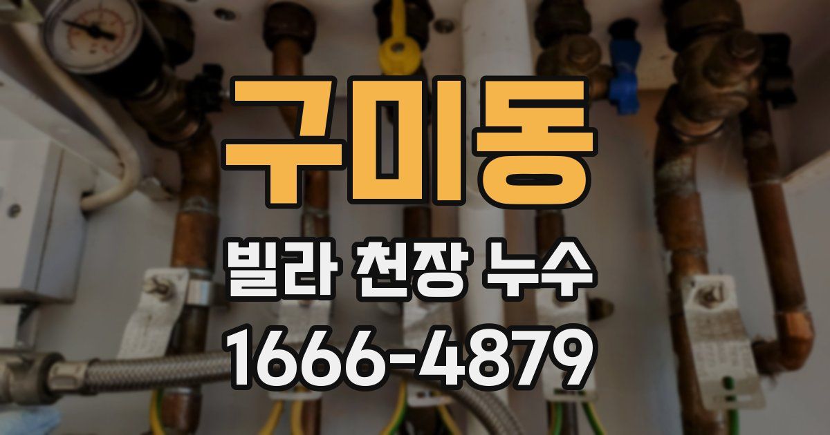 구미동 빌라 천장 누수