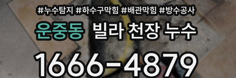 운중동 빌라 천장 누수