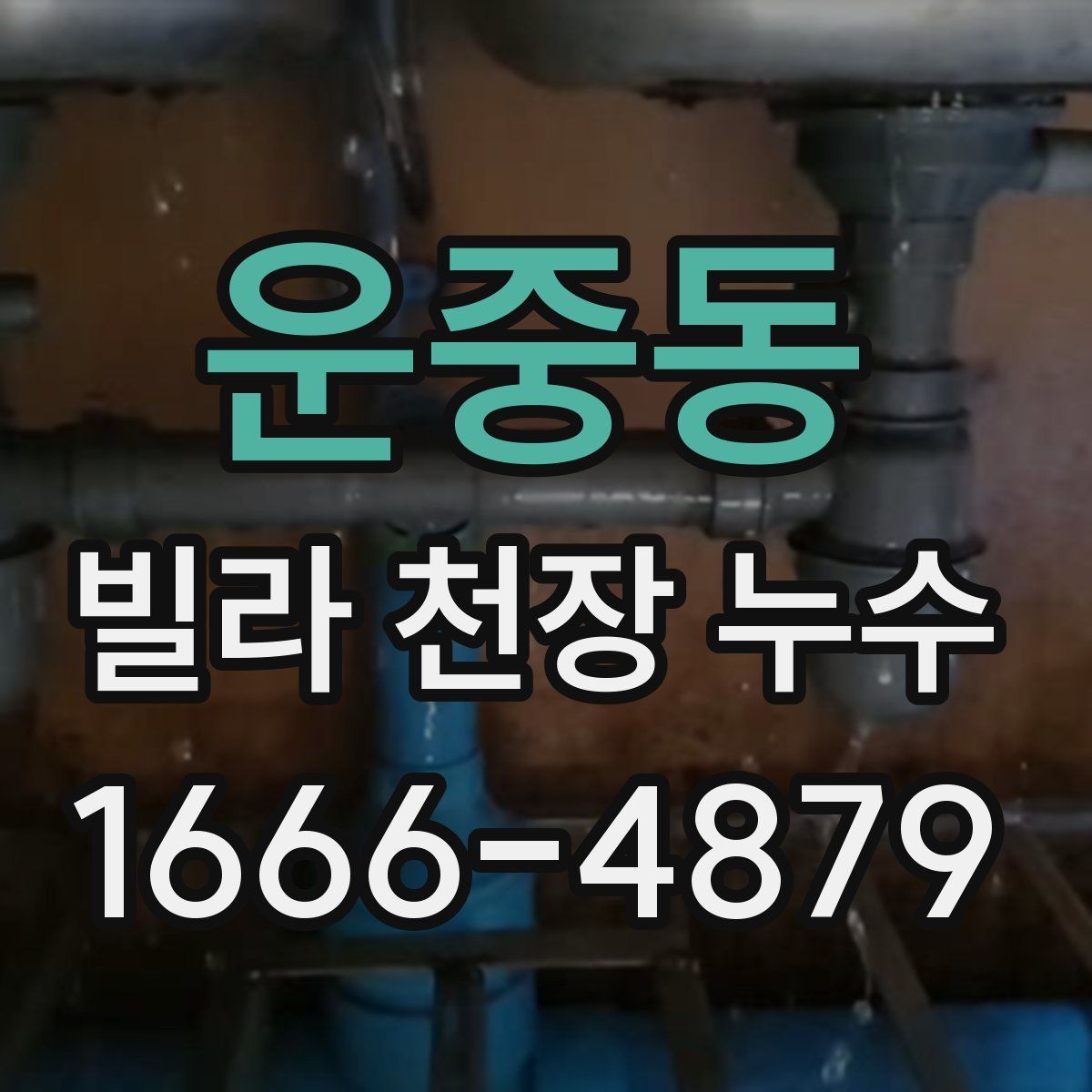 운중동 빌라 천장 누수