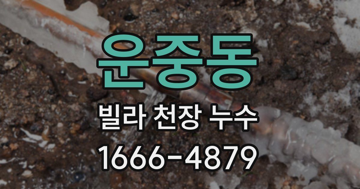 운중동 빌라 천장 누수