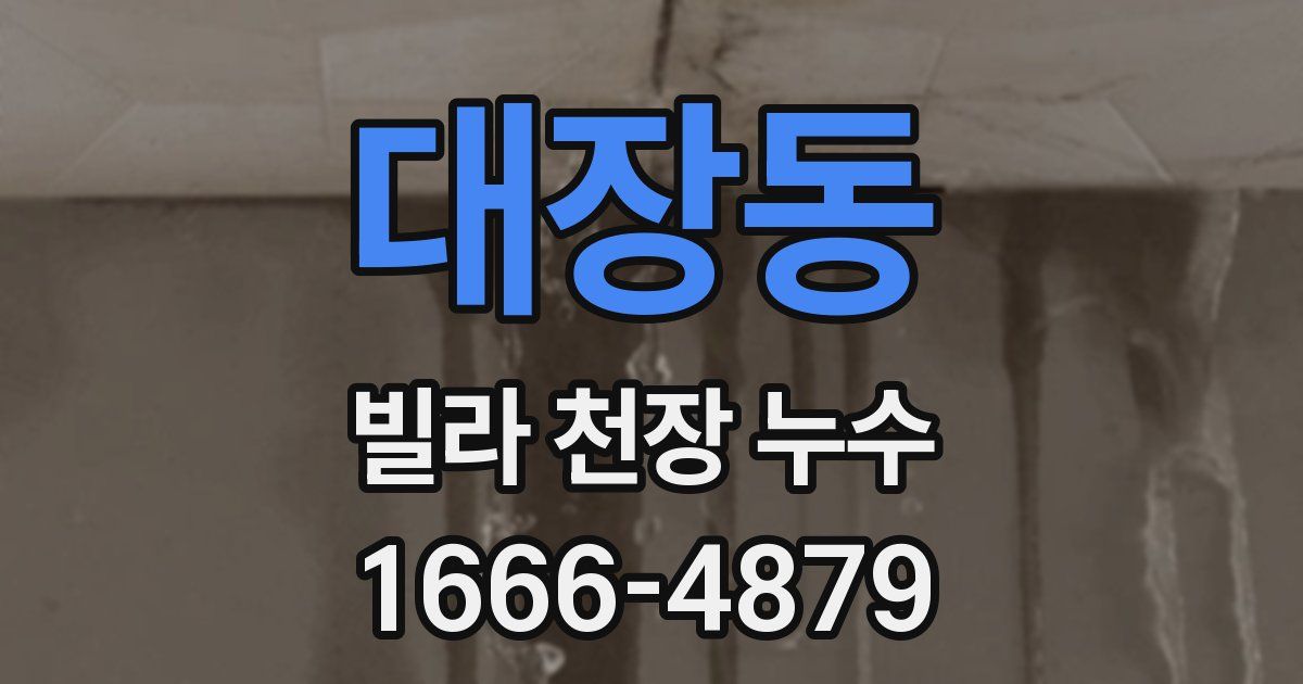 대장동 빌라 천장 누수