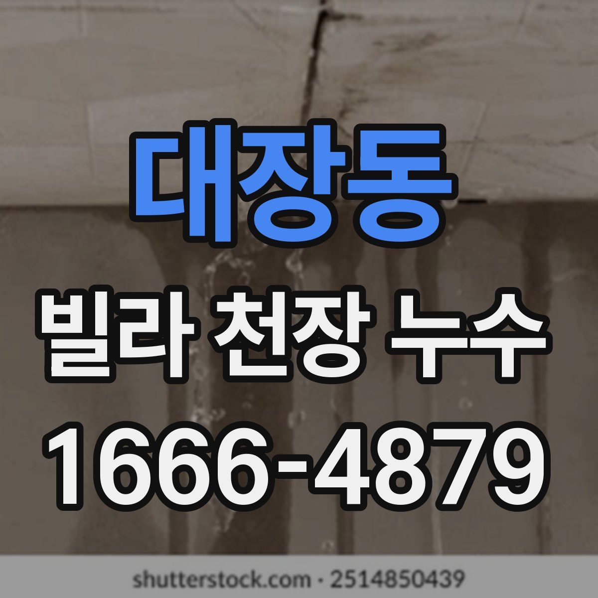 대장동 빌라 천장 누수