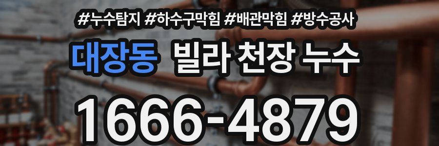 대장동 빌라 천장 누수