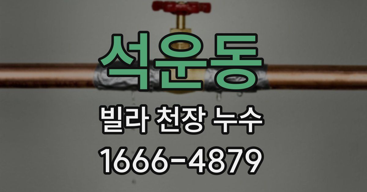 석운동 빌라 천장 누수