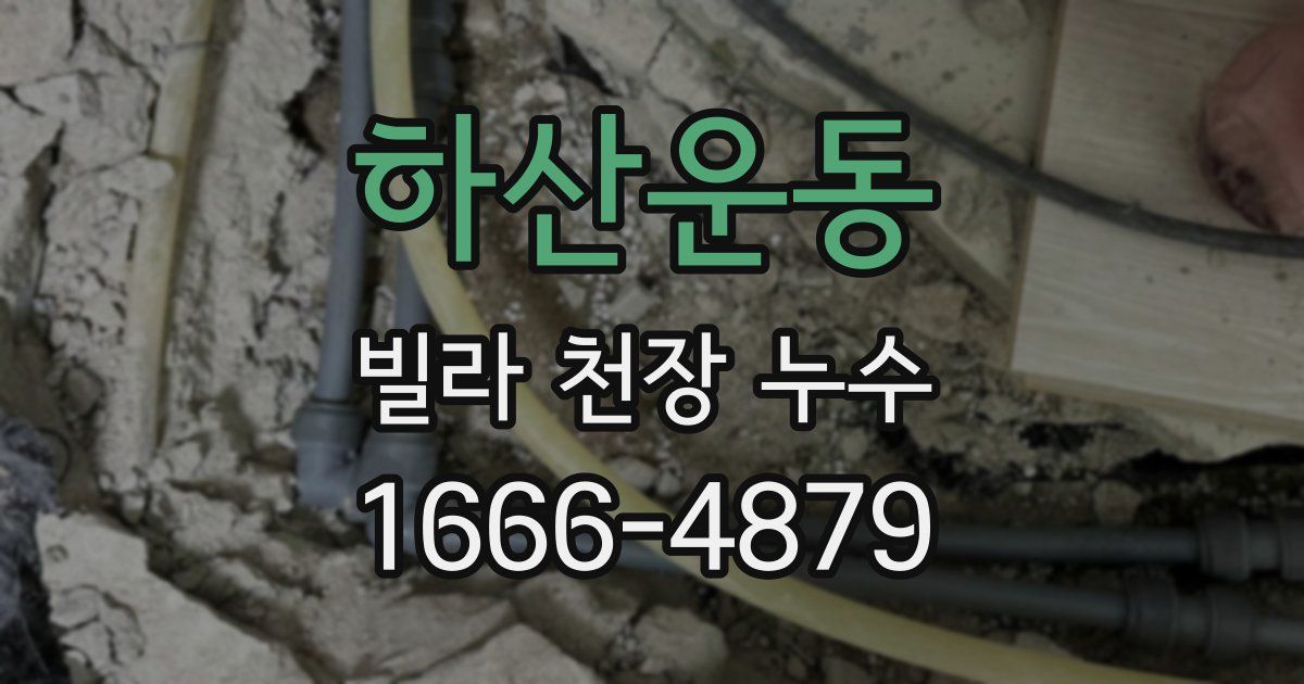 하산운동 빌라 천장 누수