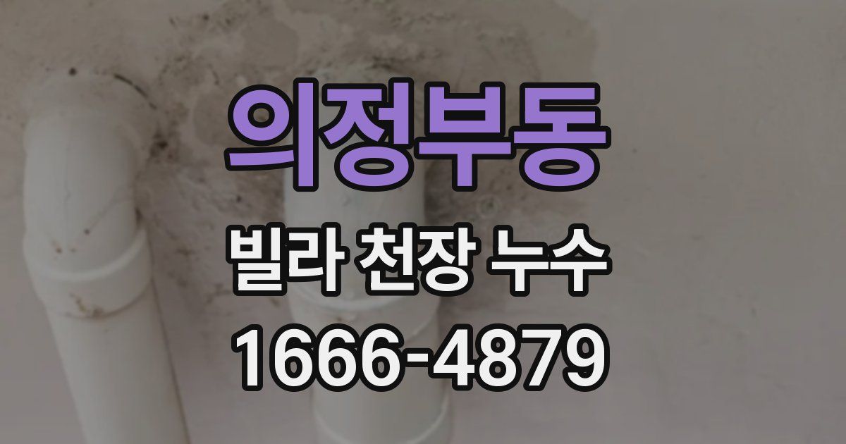 의정부동 빌라 천장 누수