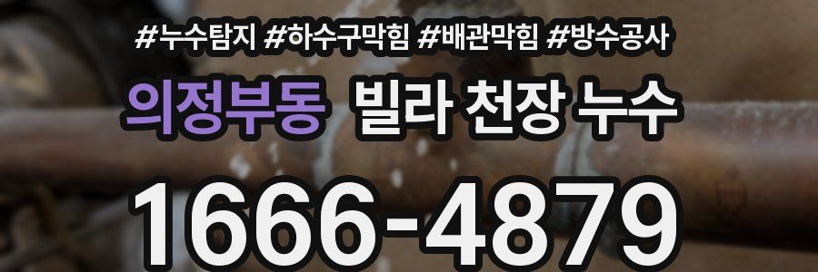 의정부동 빌라 천장 누수