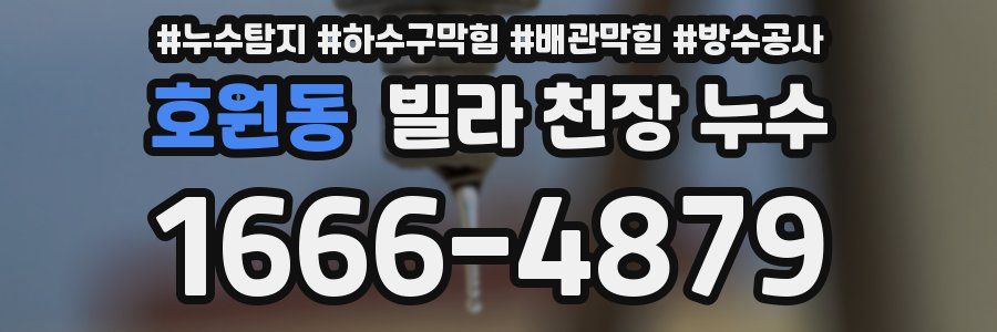 호원동 빌라 천장 누수