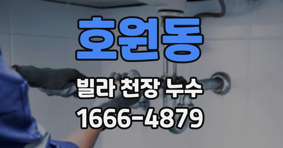 호원동 빌라 천장 누수