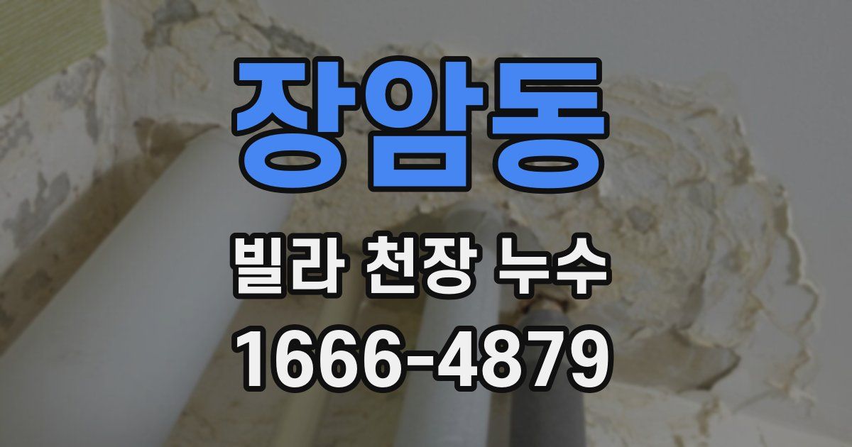 장암동 빌라 천장 누수
