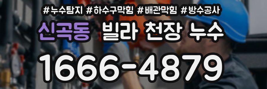 신곡동 빌라 천장 누수
