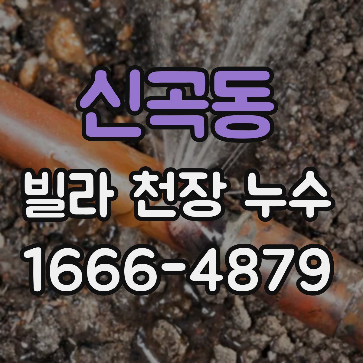 신곡동 빌라 천장 누수