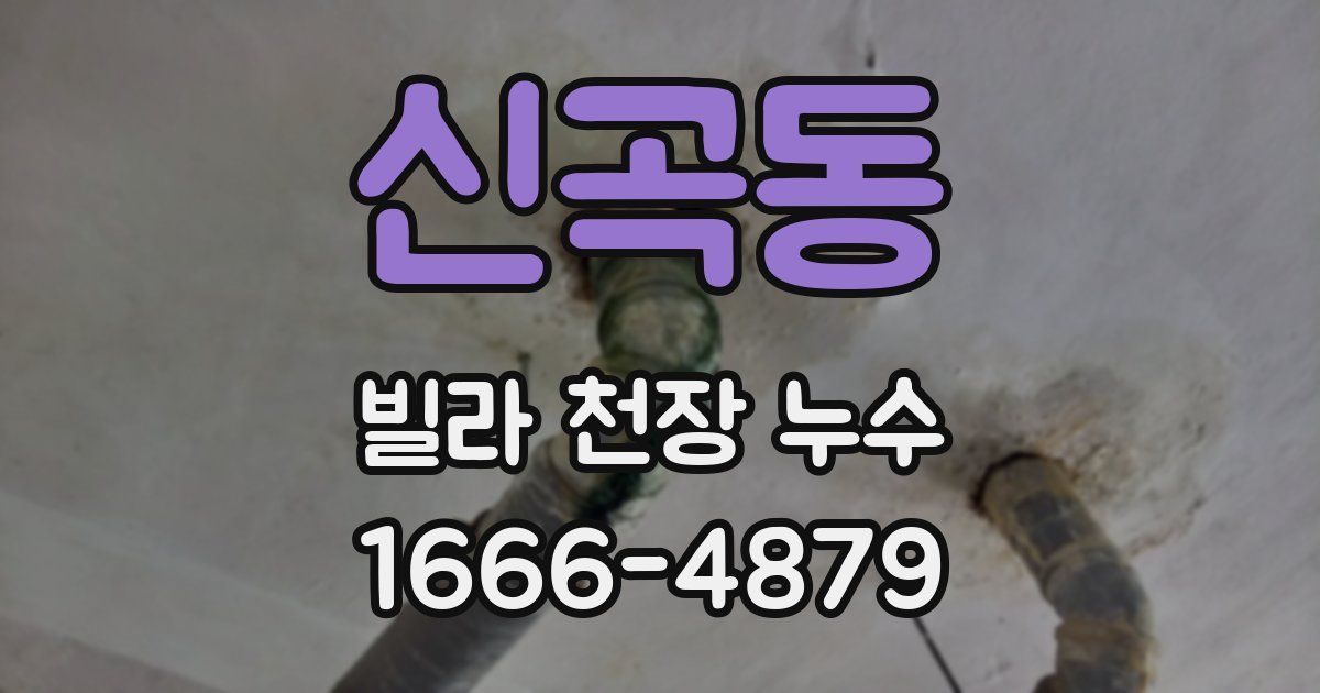 신곡동 빌라 천장 누수