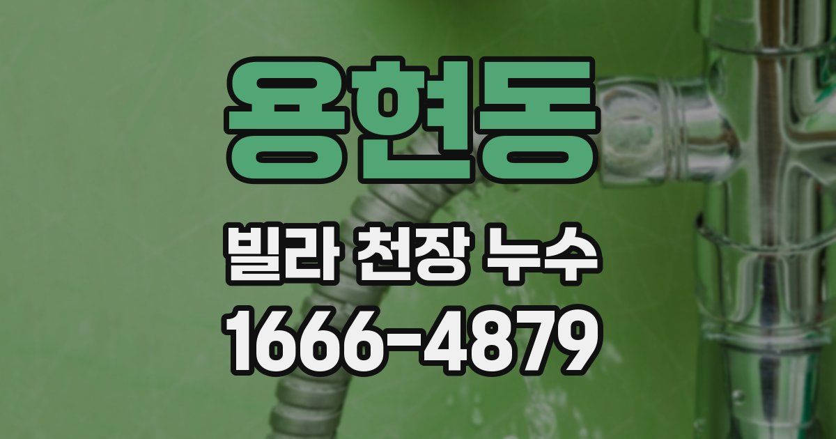 용현동 빌라 천장 누수