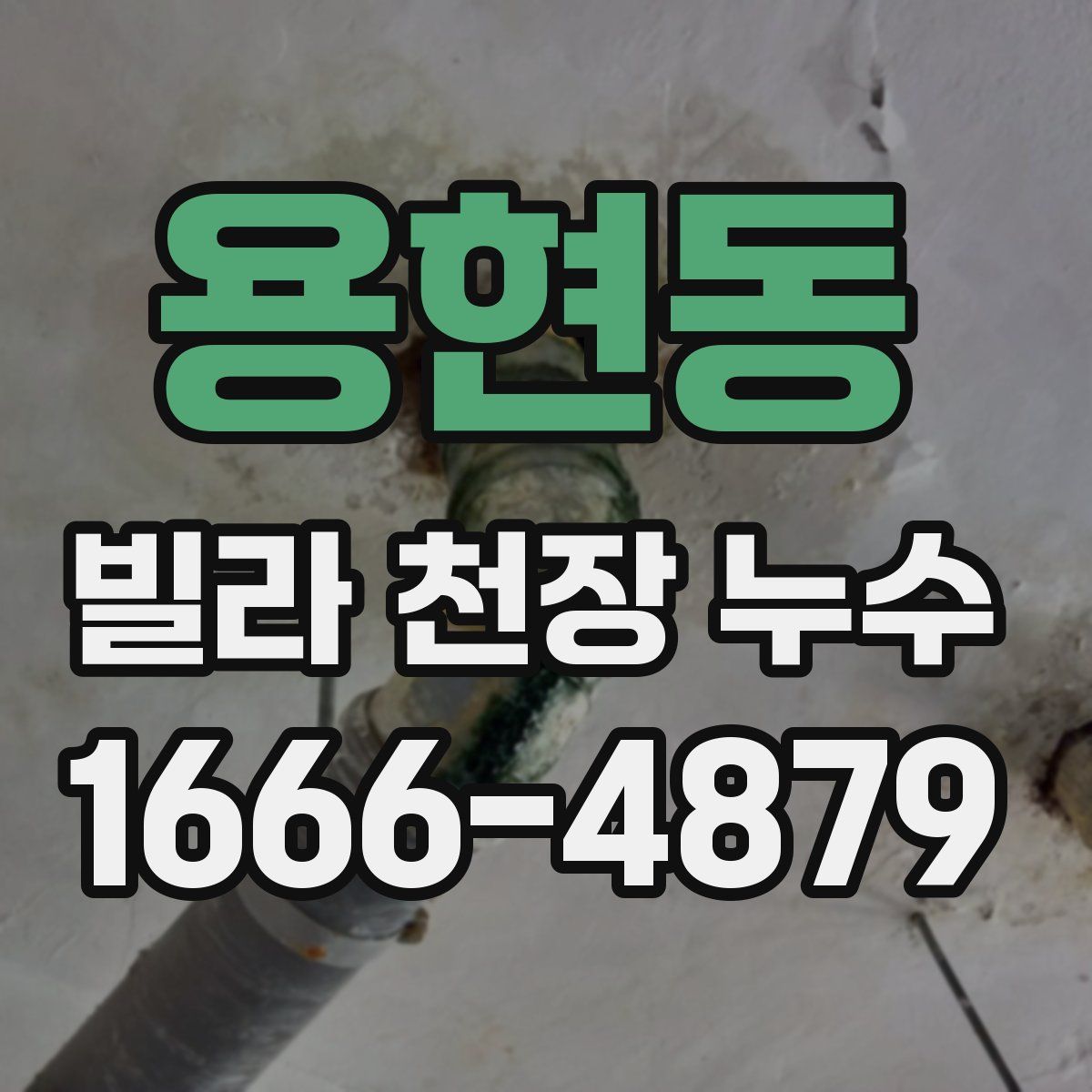 용현동 빌라 천장 누수