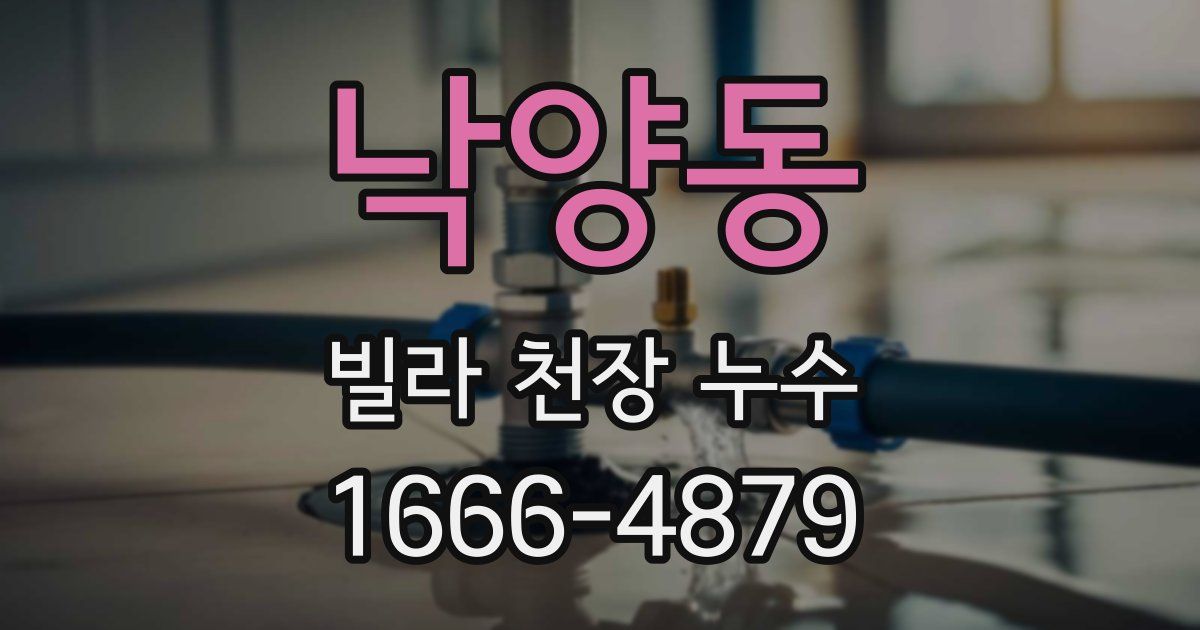 낙양동 빌라 천장 누수