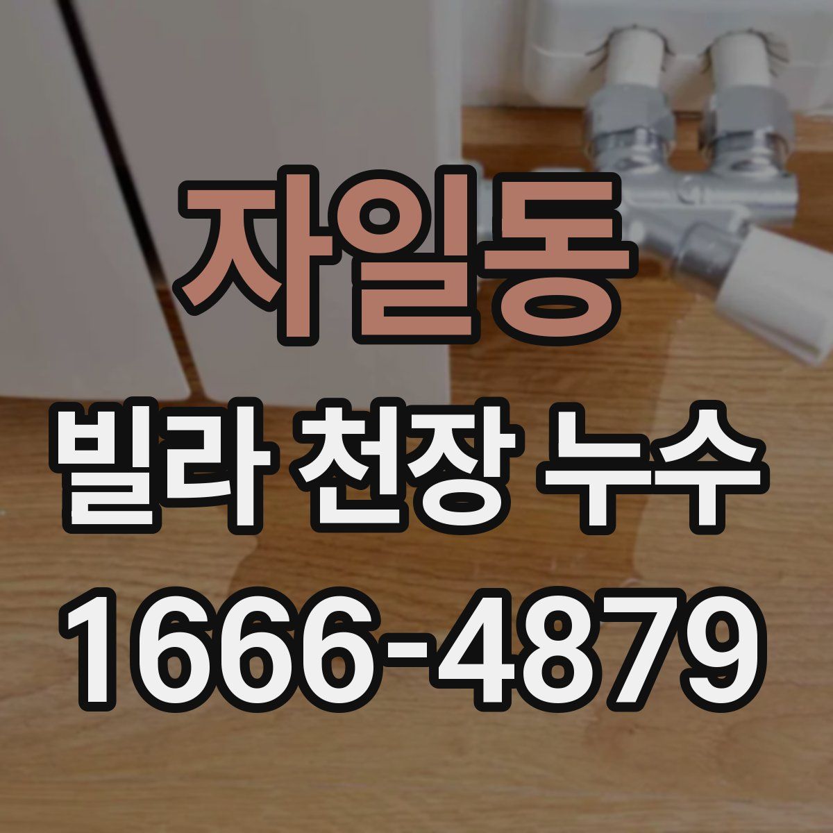 자일동 빌라 천장 누수