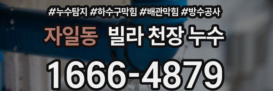 자일동 빌라 천장 누수