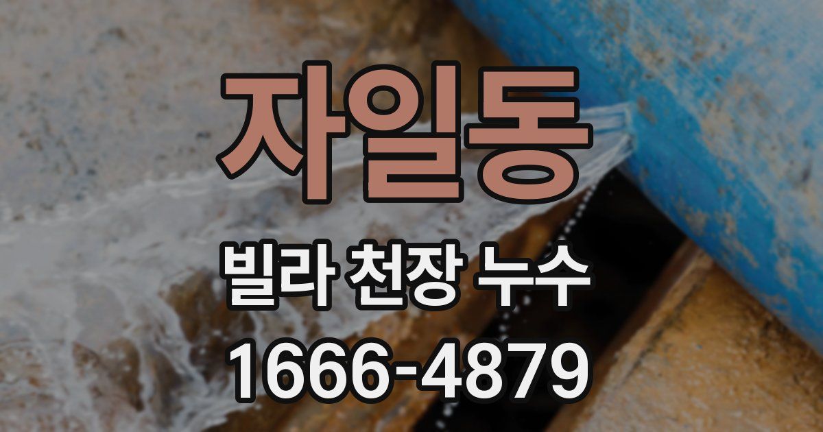 자일동 빌라 천장 누수