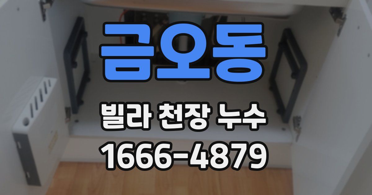 금오동 빌라 천장 누수