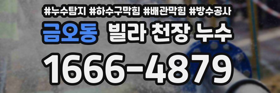 금오동 빌라 천장 누수