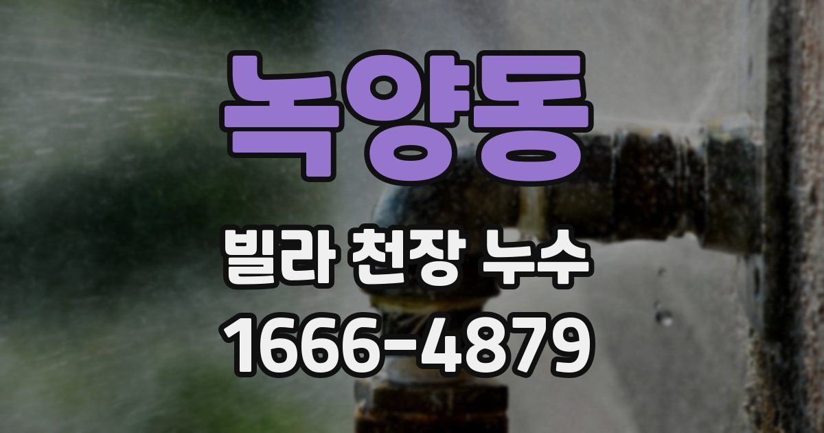 녹양동 빌라 천장 누수