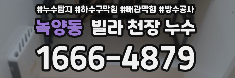 녹양동 빌라 천장 누수