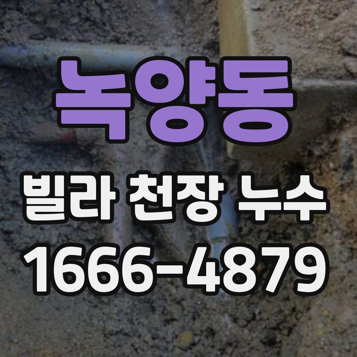 녹양동 빌라 천장 누수