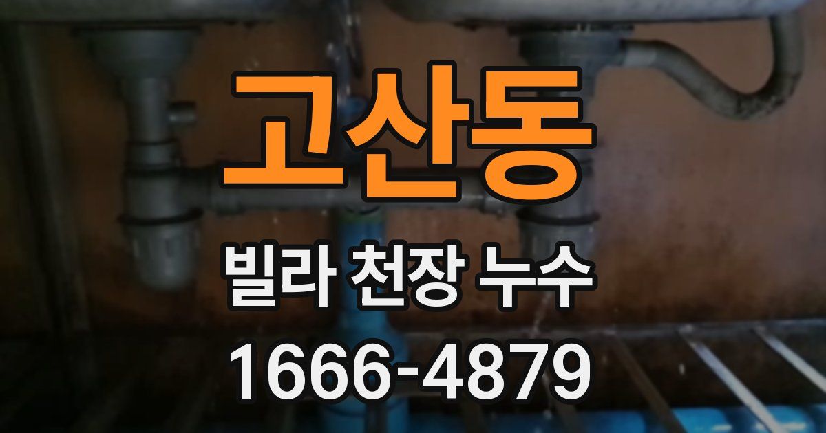 고산동 빌라 천장 누수