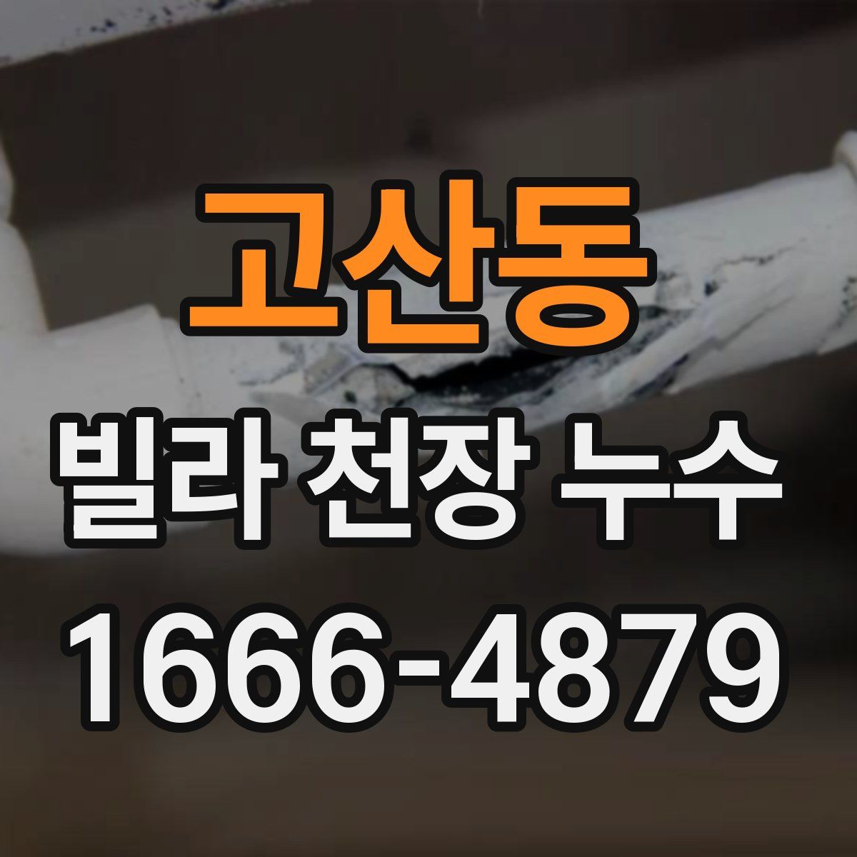 고산동 빌라 천장 누수