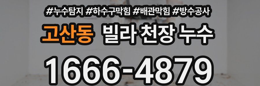 고산동 빌라 천장 누수