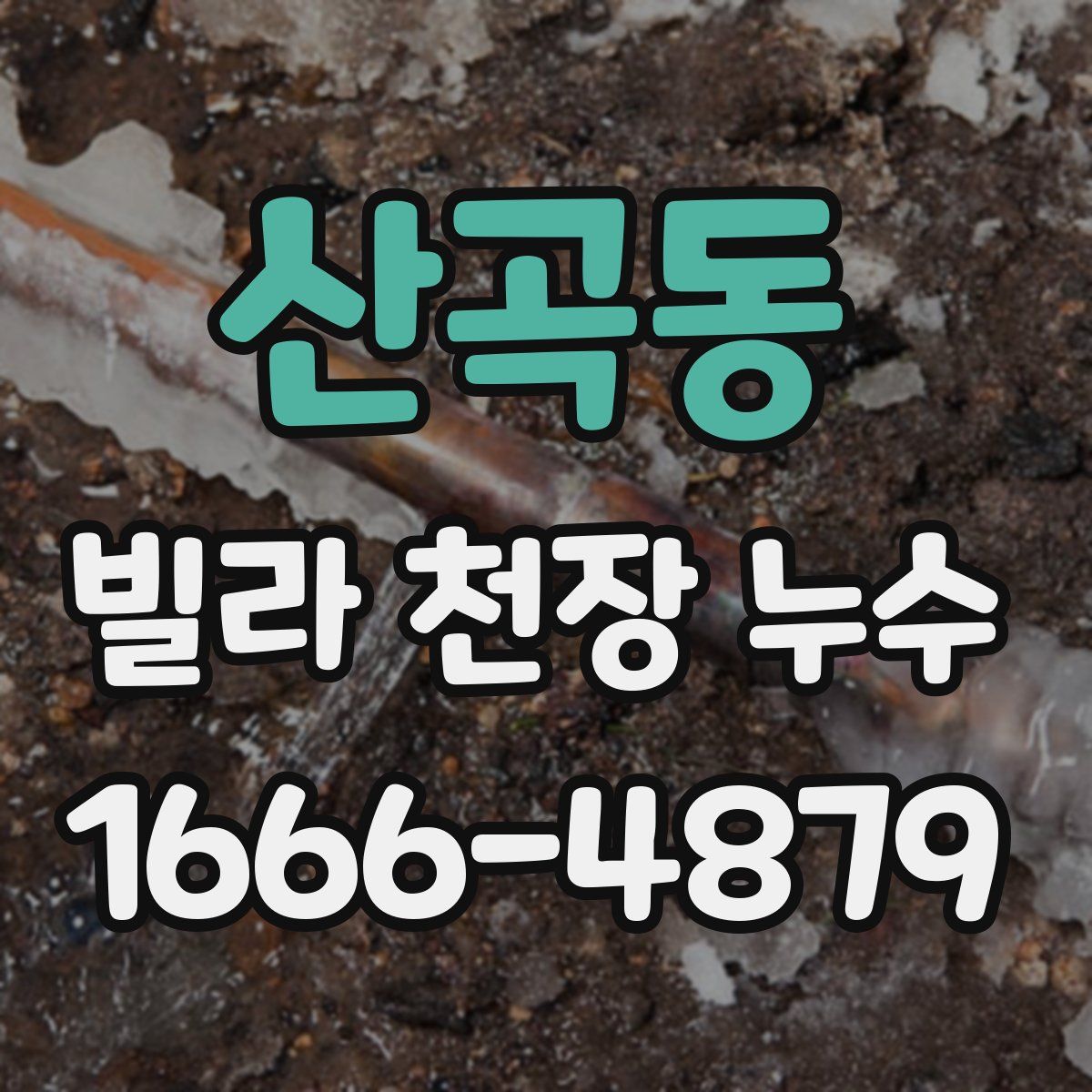 산곡동 빌라 천장 누수