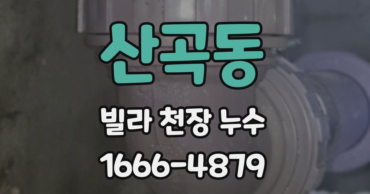 산곡동 빌라 천장 누수