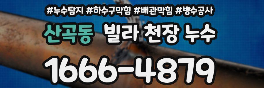 산곡동 빌라 천장 누수