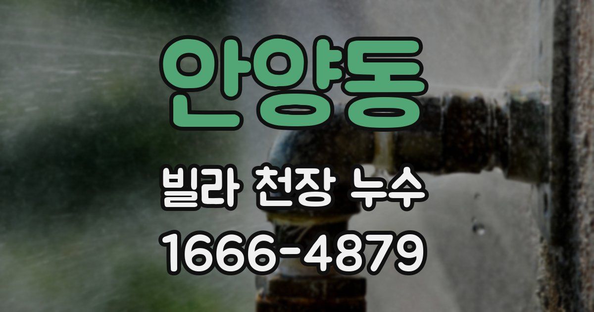 안양동 빌라 천장 누수