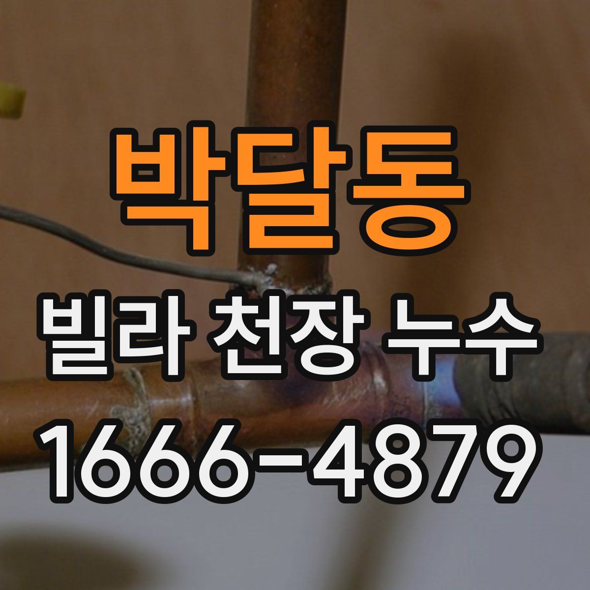 박달동 빌라 천장 누수