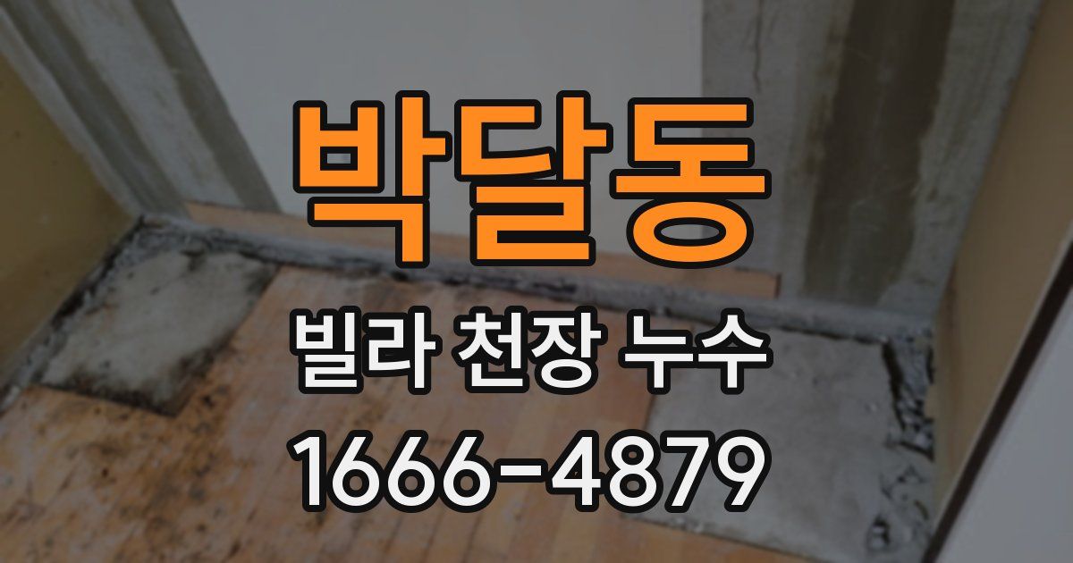 박달동 빌라 천장 누수