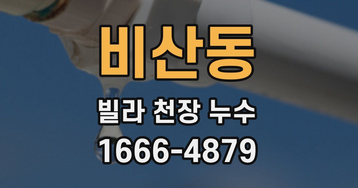 비산동 빌라 천장 누수