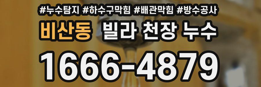 비산동 빌라 천장 누수