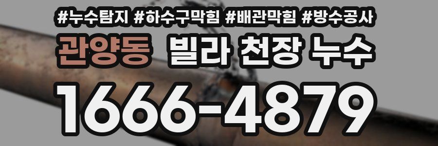 관양동 빌라 천장 누수