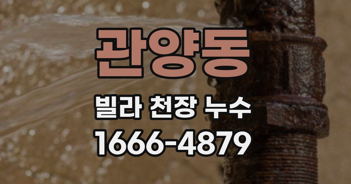 관양동 빌라 천장 누수