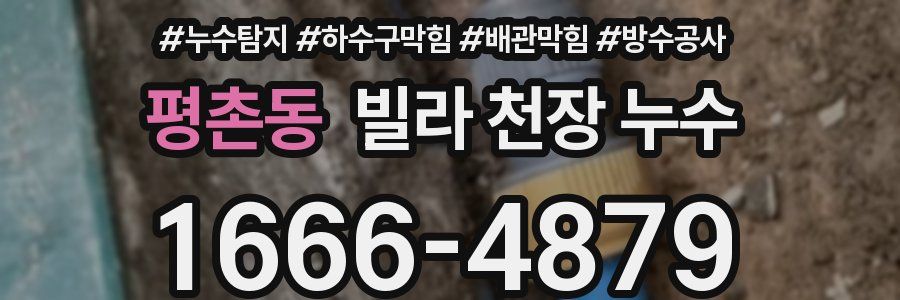 평촌동 빌라 천장 누수