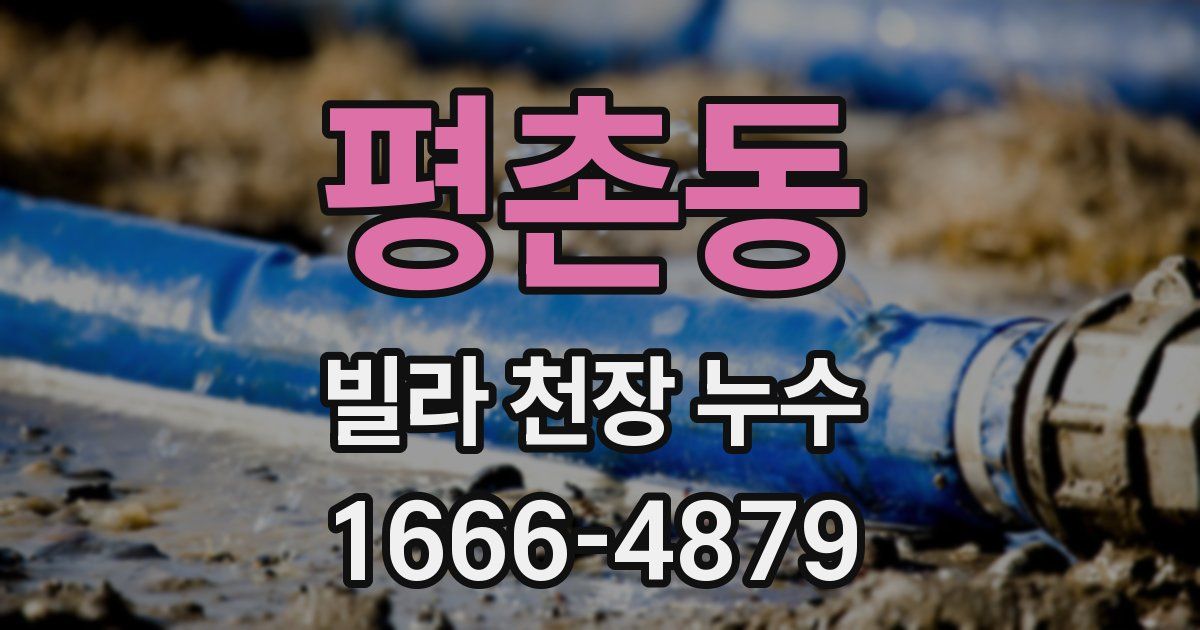 평촌동 빌라 천장 누수