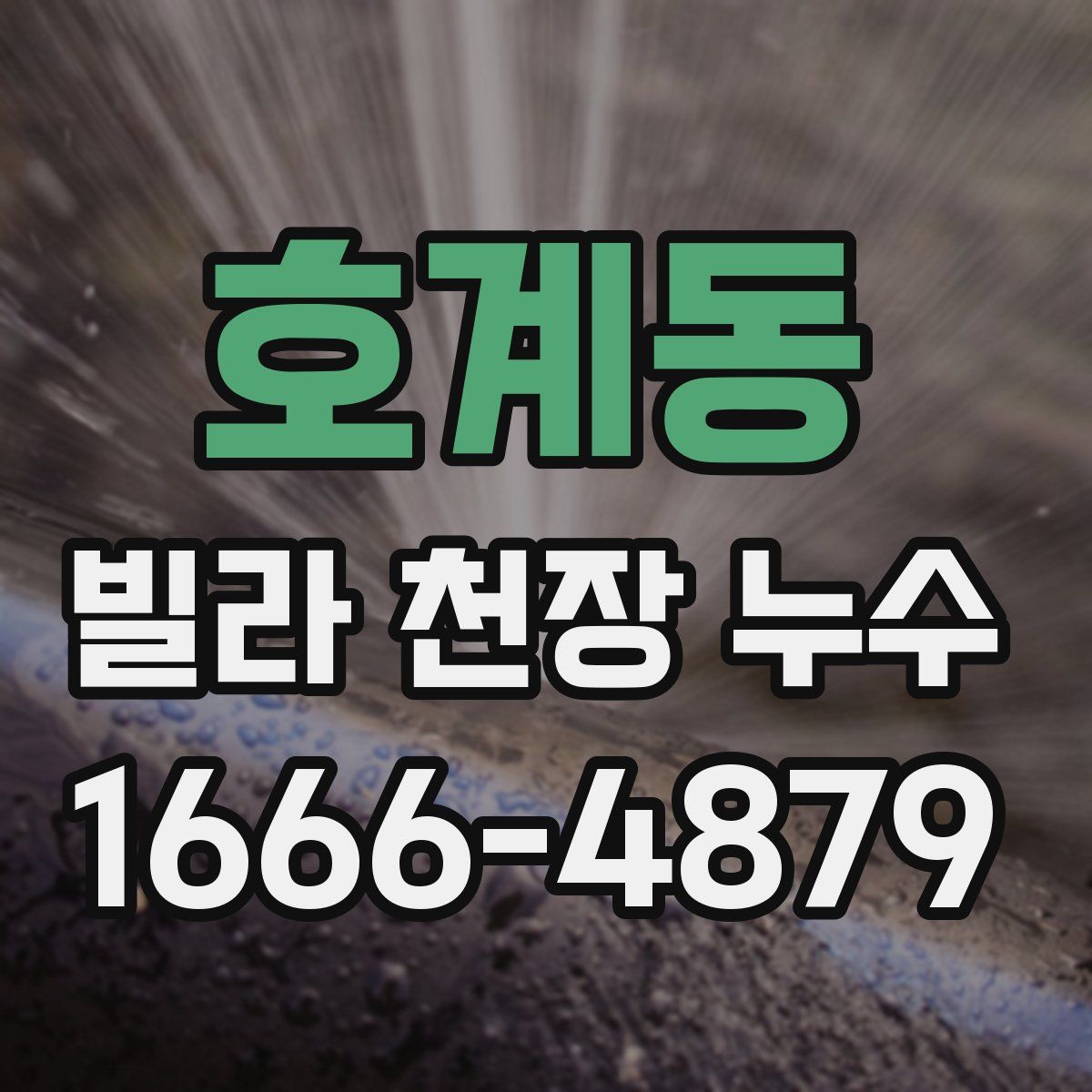 호계동 빌라 천장 누수