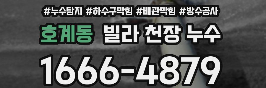 호계동 빌라 천장 누수