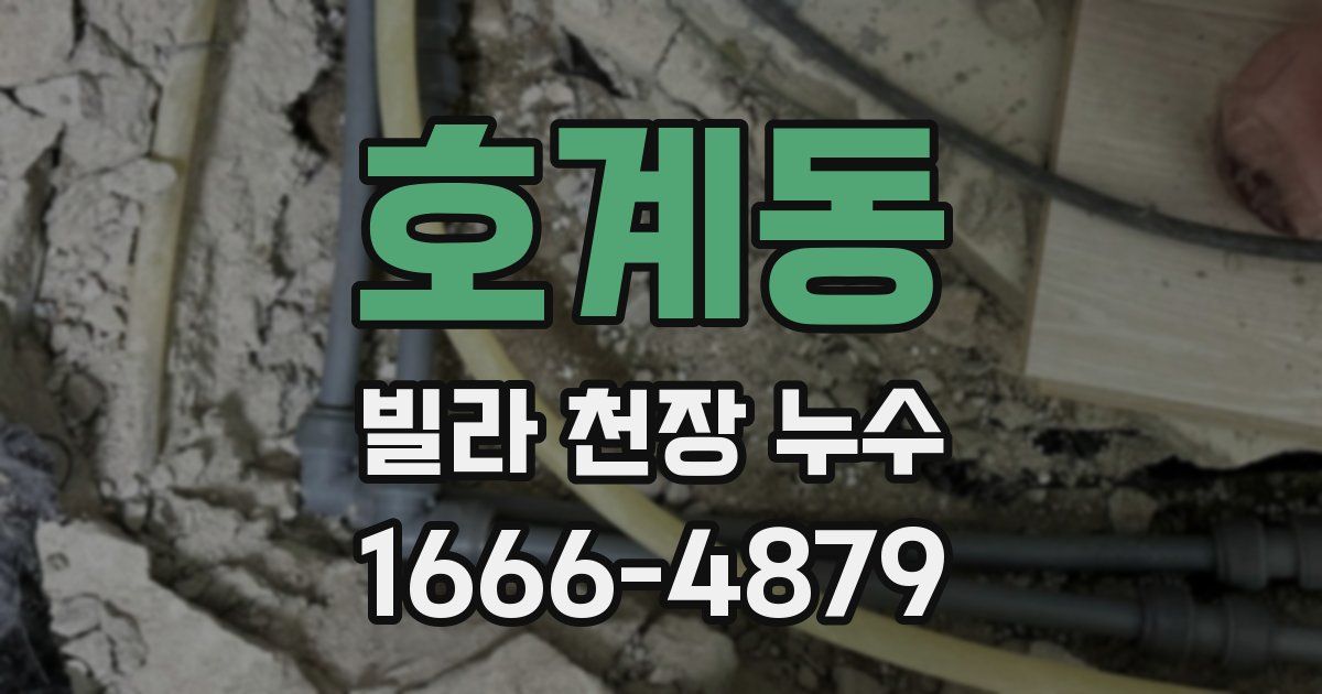 호계동 빌라 천장 누수