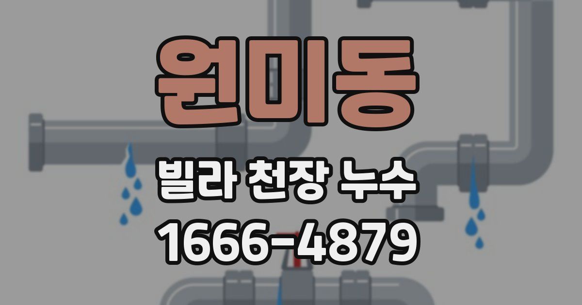 원미동 빌라 천장 누수