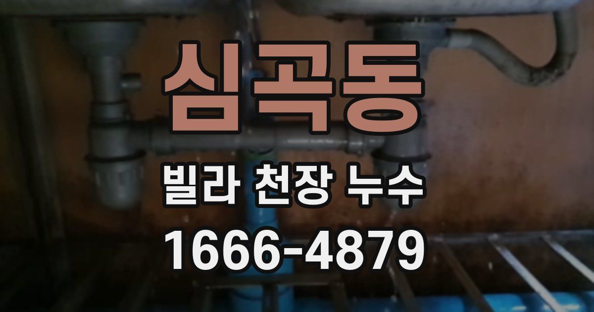 심곡동 빌라 천장 누수