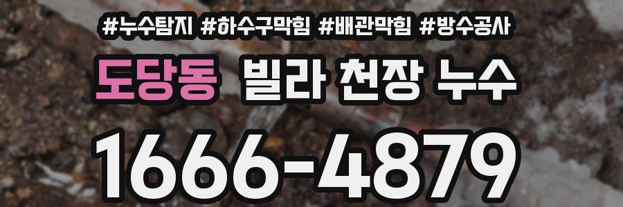 도당동 빌라 천장 누수