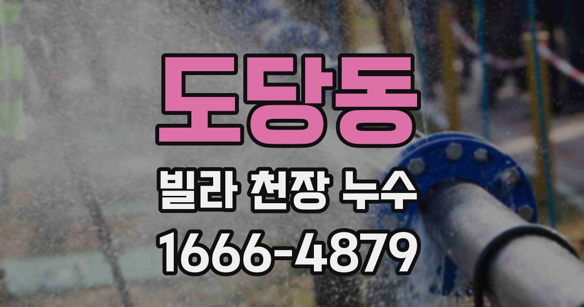 도당동 빌라 천장 누수
